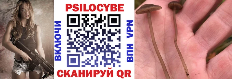 Купить где  Сорск  Псилоцибиновые грибы Magic Shrooms 